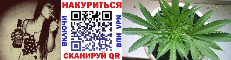 Сколько стоит Камызяк Кокаин Меф мяу мяу ГАШ APVP МАРИХУАНА