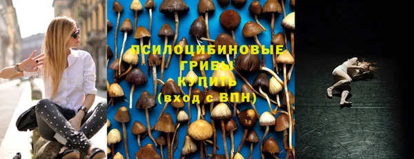 спайс Абаза