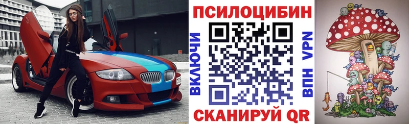площадка как зайти  Камызяк  Галлюциногенные грибы Psilocybine cubensis 